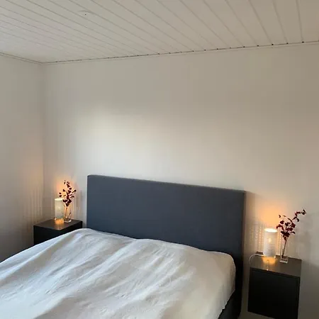 Daire Middelfart City Apartment Middelfart