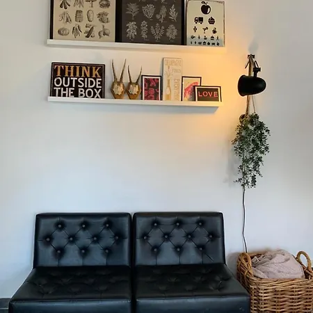 Middelfart City Apartment Daire *
